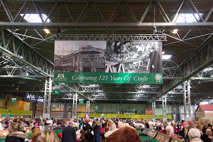 125th Anniversary Crufts 2016 Anca S Lifestyle