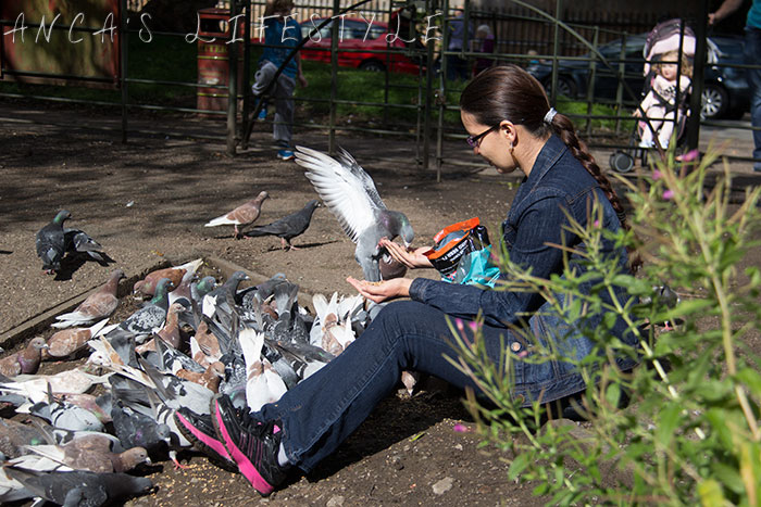 feeding pigeons 01