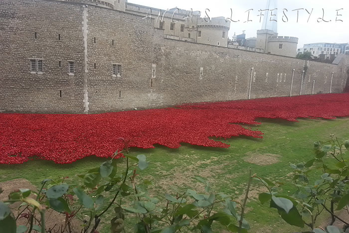 tower of london 3