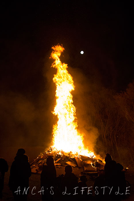 bonfire night 2014 02