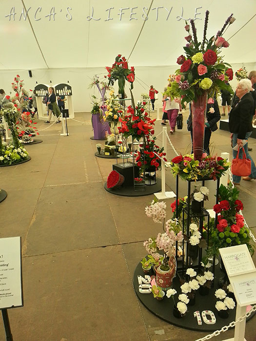 14 harrogate flower show 2015