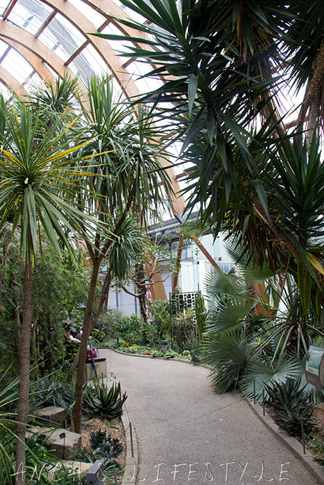 Sheffield Winter Gardens with plants and flowers and coffee shops