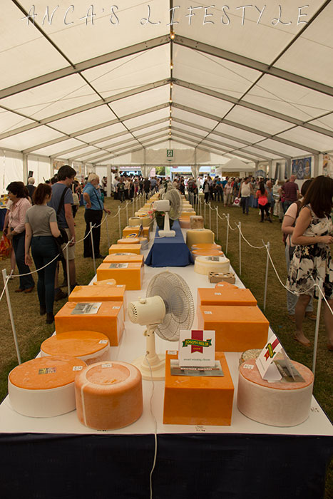 16 Cheshire County Show
