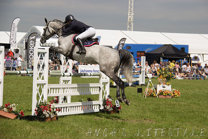 21 Cheshire County Show