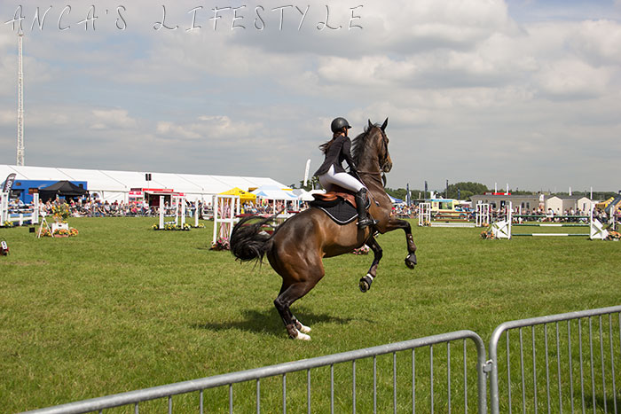 22 Cheshire County Show