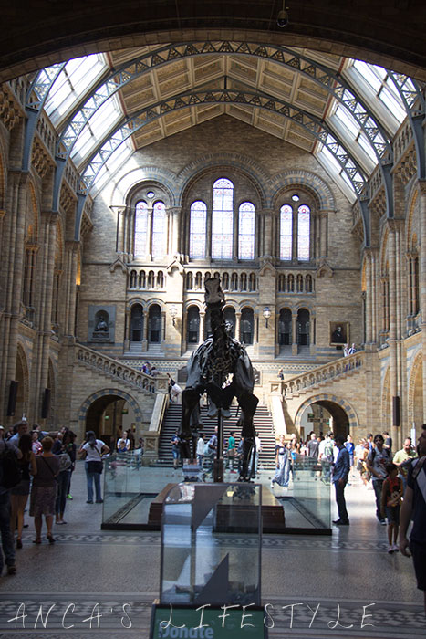 12 Natural History Museum London