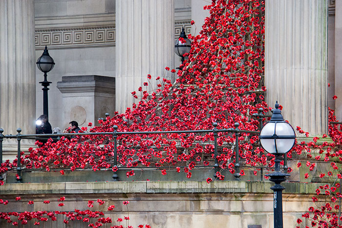 01 Weeping window