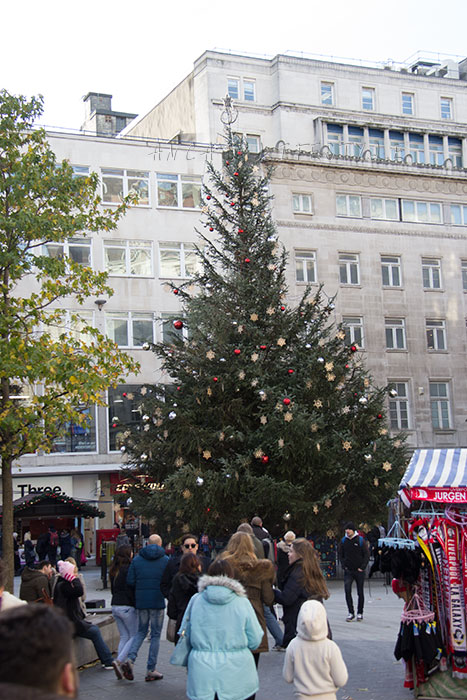 22 Liverpool Christmas tree 2015