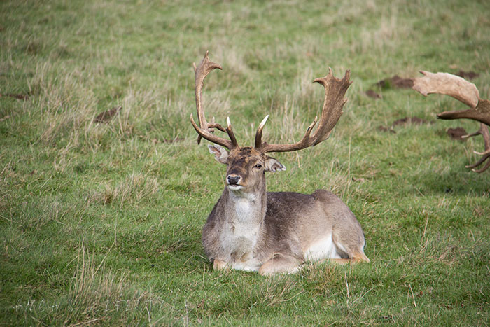 11 Charlecote Park