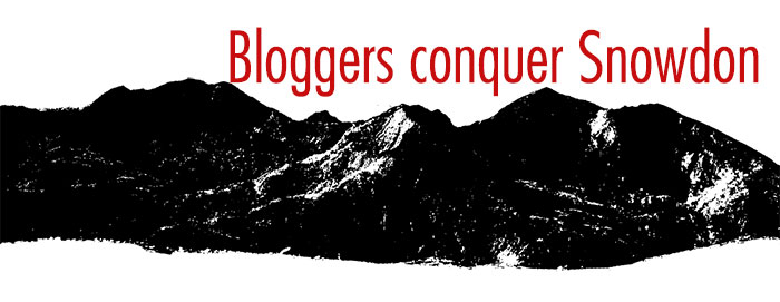Bloggers conquer Snowdon
