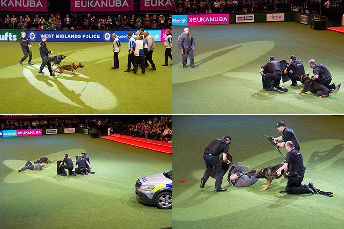 West-Midlands-Police-Crufts-03