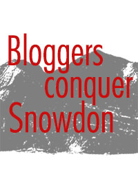 Bloggers conquer Snowdon