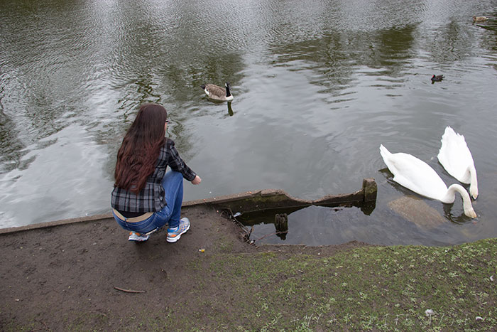 01 Feeding birds