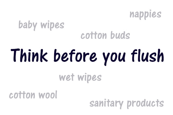 Think-before-you-flush