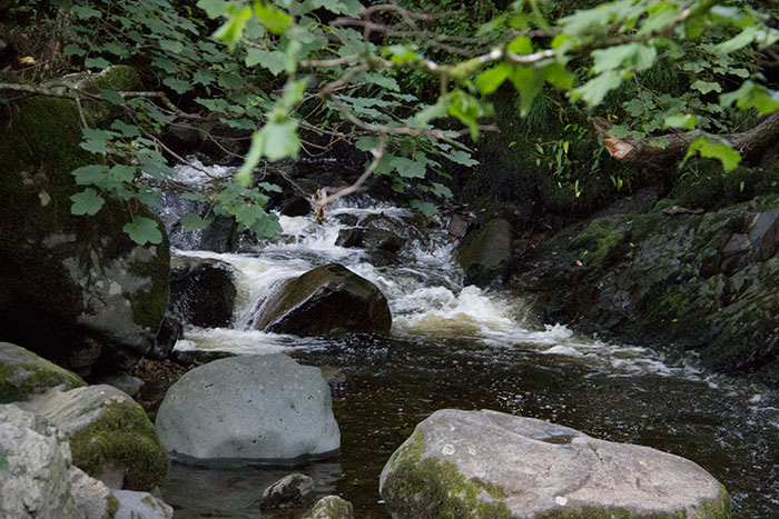 07 Aira Force