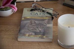 Wonder Cats. True stories of extraordinary felines by Ashley Morgan