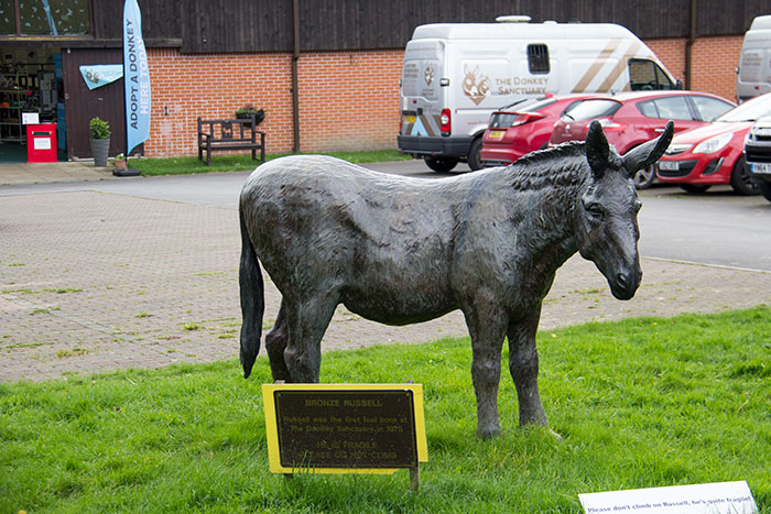 The Donkey Sanctuary