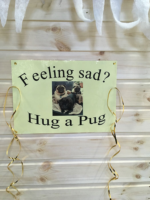Hug a Pug poster