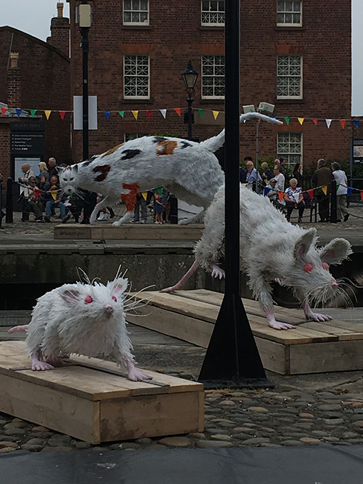 Tall Ships Regatta. The Ship’s Cat and Super Rat