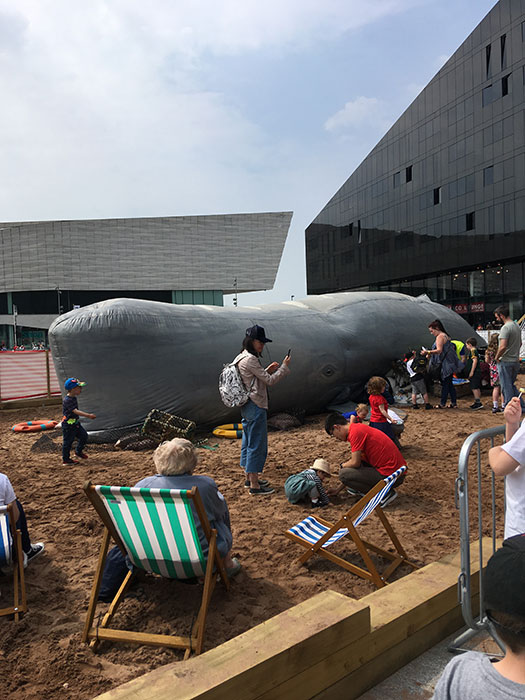 The Whale at Tall Ships Regatta