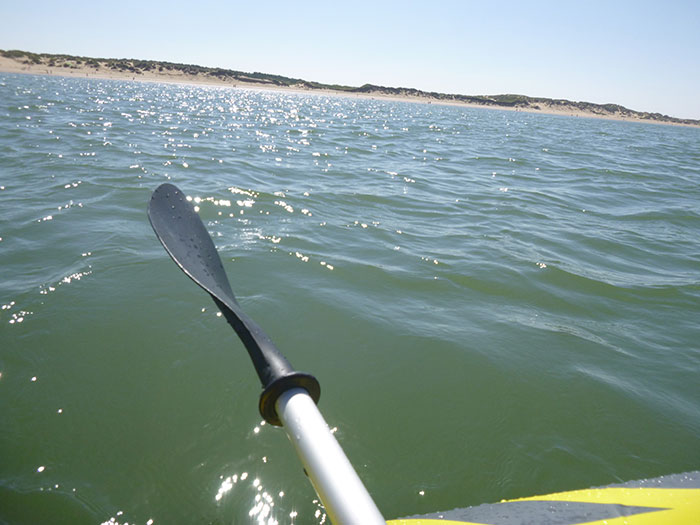 Kayaking. The view towards the shore