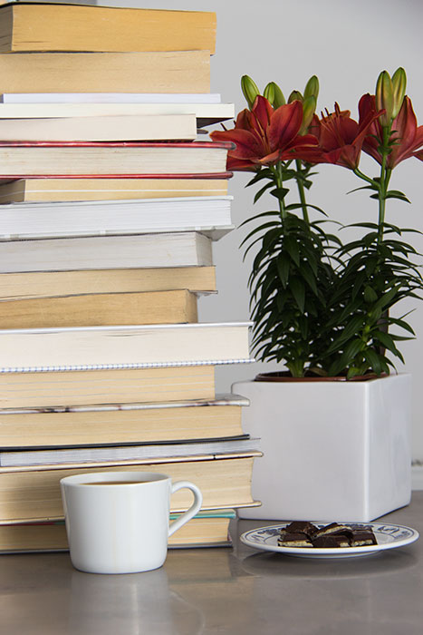 Fiction or Non-Fiction