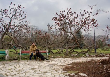 Herastrau, Bucharest