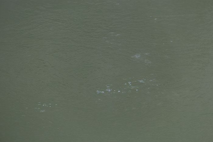 The water bubbling at the Roman Baths