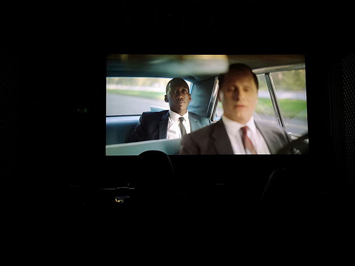 Preview of Green Book