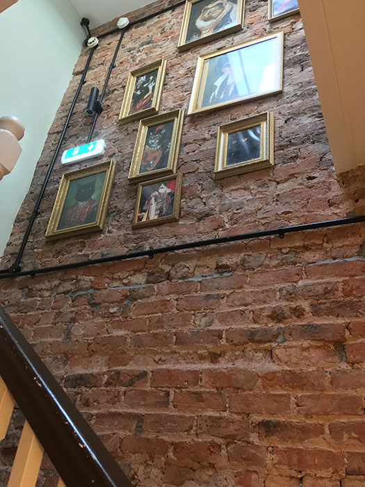 Decor at Cat Café Liverpool