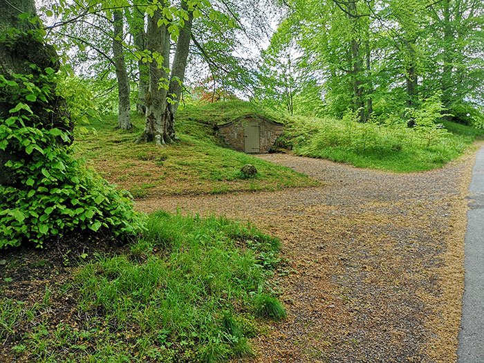 BioBlitz Bits: The Bat Pack at Baker's Woods