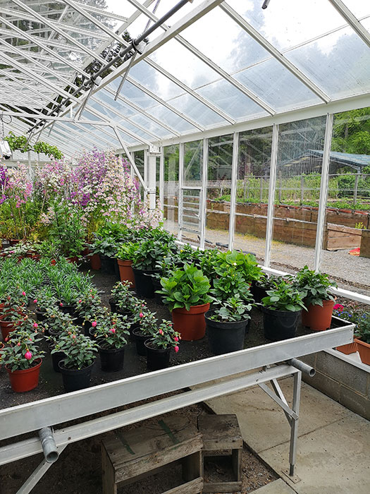 Greenhouse at Balmoral