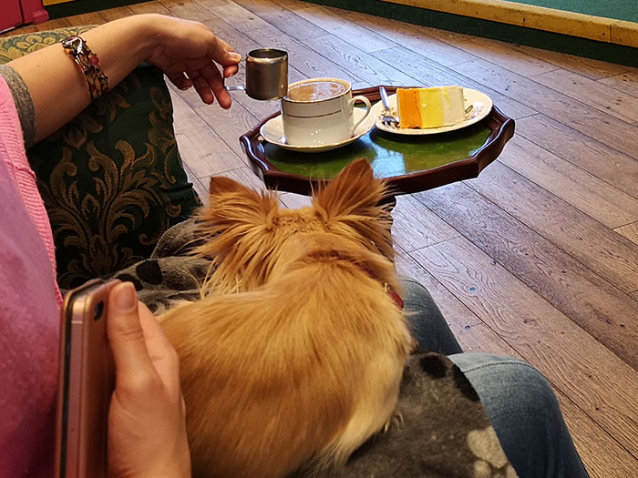 Me with my coffee and cake, while having a dog on my lap. At Edinburgh Chih