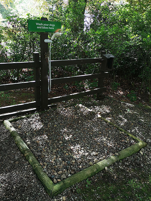 Dog washing area