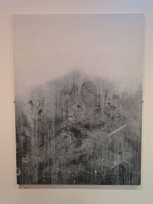 Liverpool Art Fair at Metquarter. Artwork