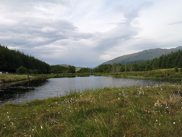 Lake at Highland Titles Nature Reserve