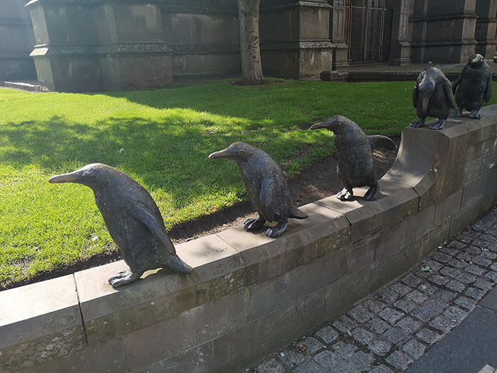 Penguins in Dundee
