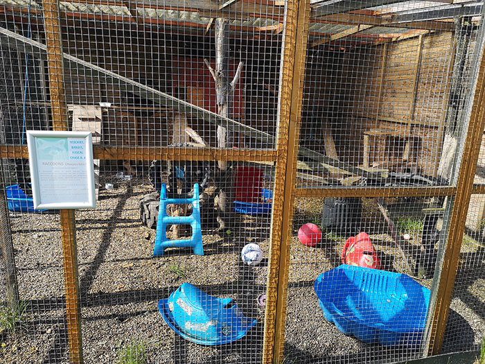 Racoon cage, filled with lots of toys