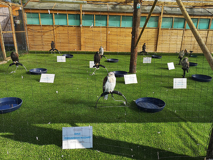 Battlefield Bird of Prey Centre