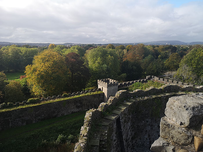  Cardiff seen from Cardiff Castle