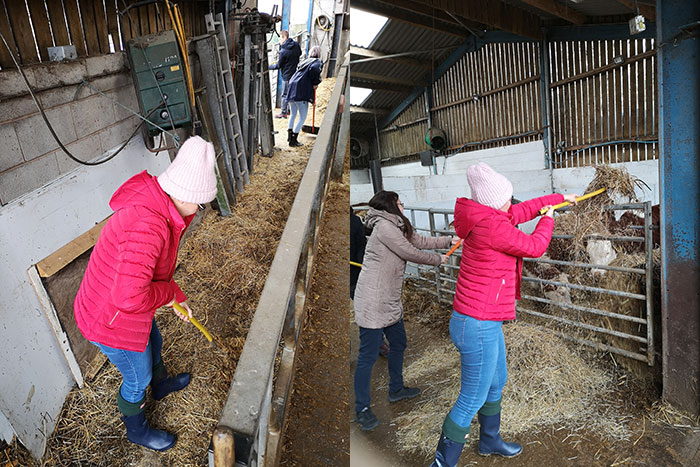 Farmer experience - 1