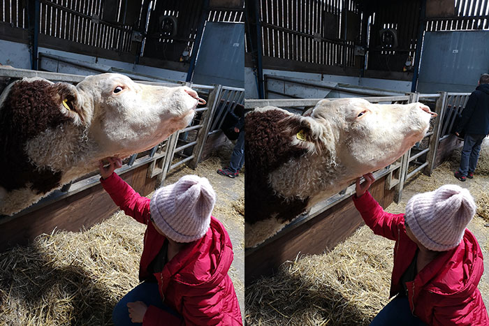 Farmer experience - 2