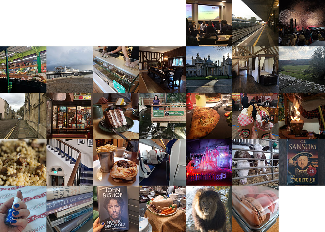 Collage of pictures from November