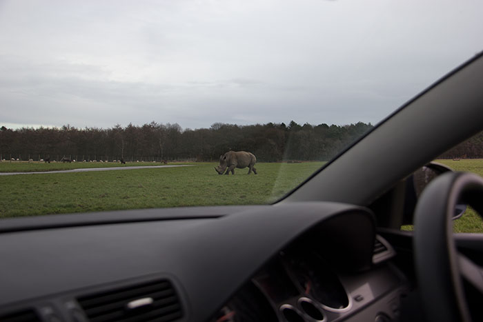  Rhino, seen from the car