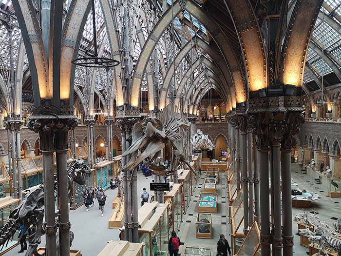 Museum of Natural History, from above