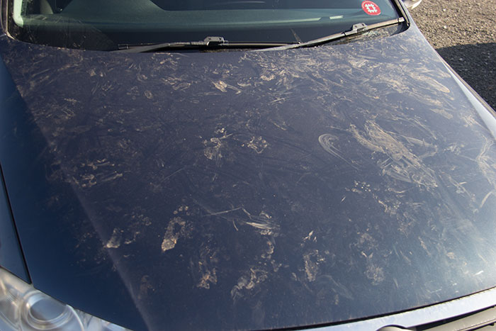 Car after going to the monkey enclosure