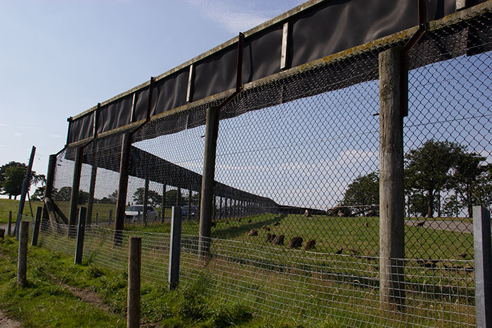 Knowsley Safari Park, August 