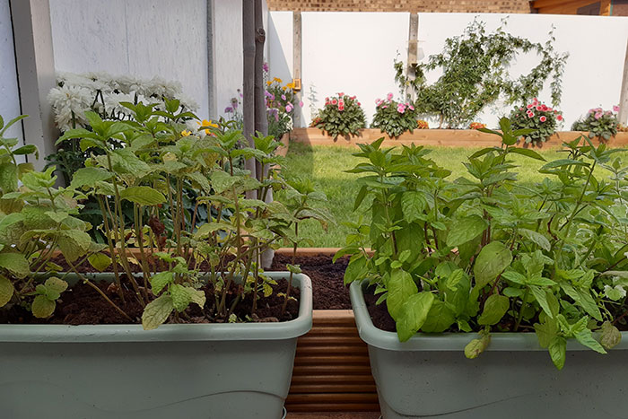 Cuprinol Garden Shades - on plastic