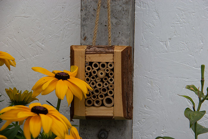 Bug Hotel