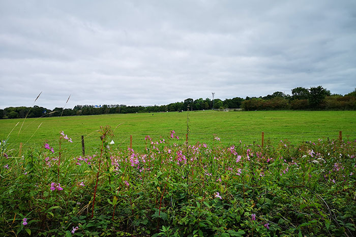 field
